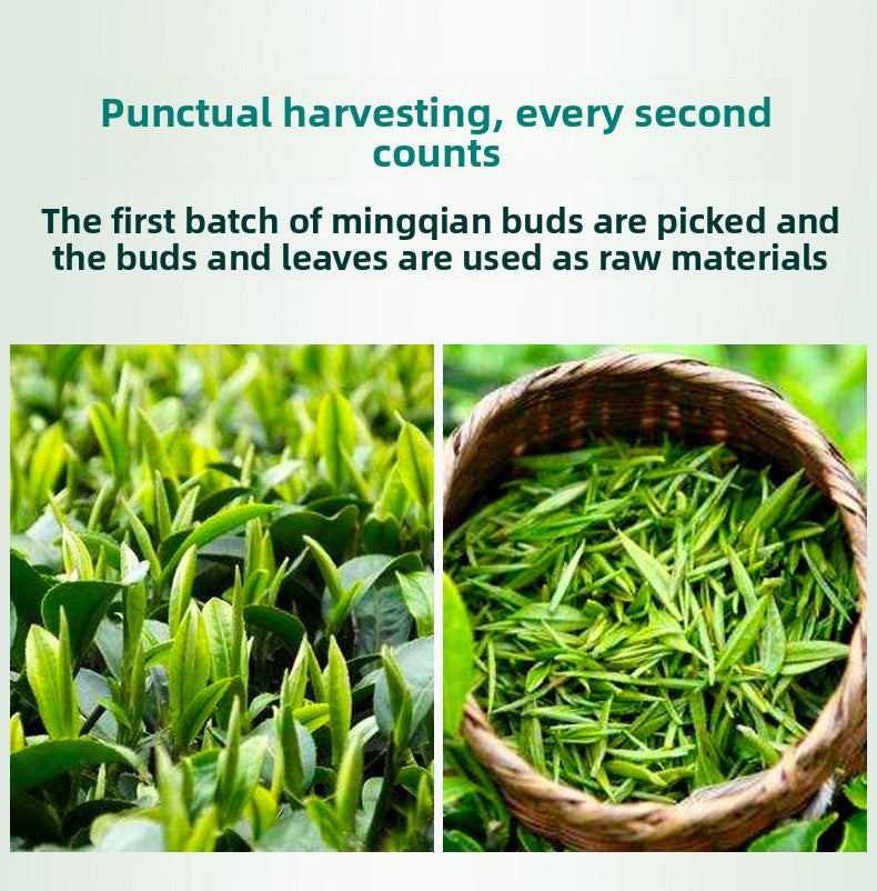 Biluochun Mingqian Green Tea 250g - Handmade Sprin