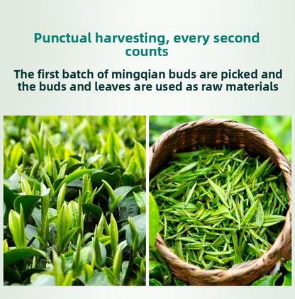 Biluochun Mingqian Green Tea 250g - Handmade Sprin