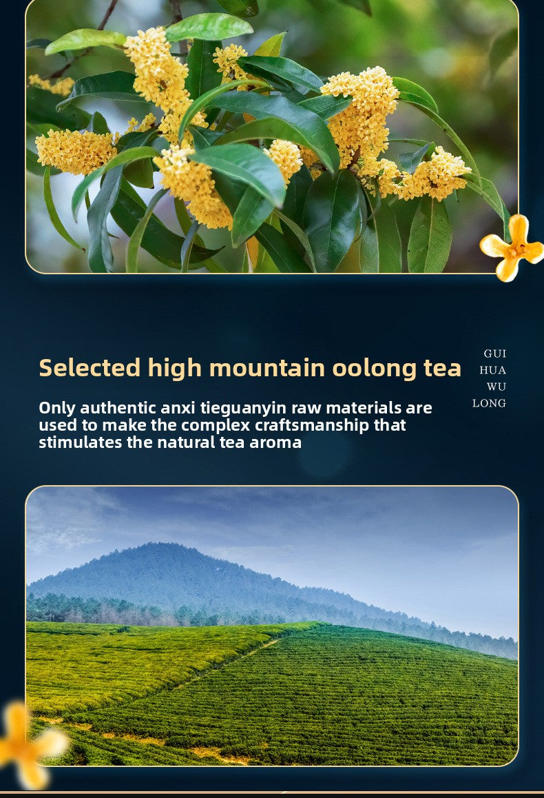 Osmanthus Oolong Tea · 100g Premium Canned