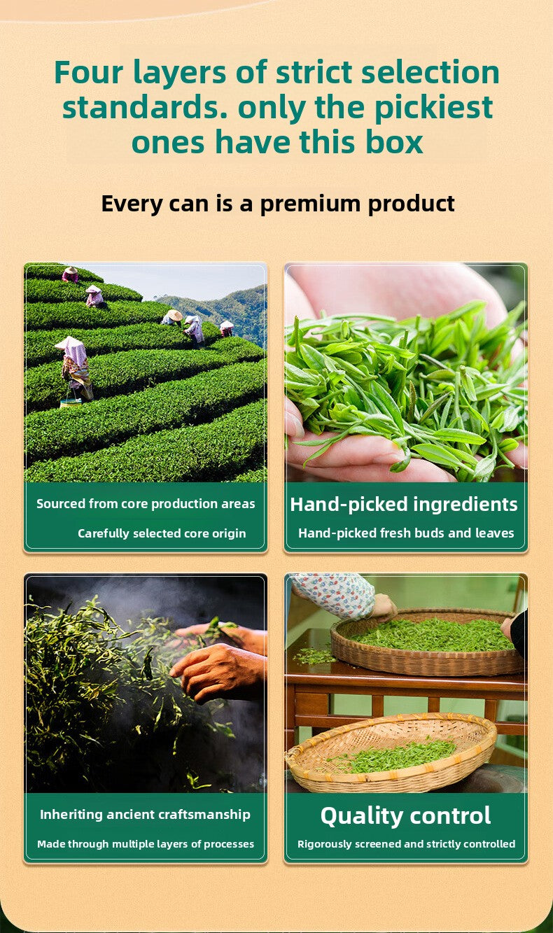 Biluochun Mingqian Green Tea 250g - Handmade Sprin