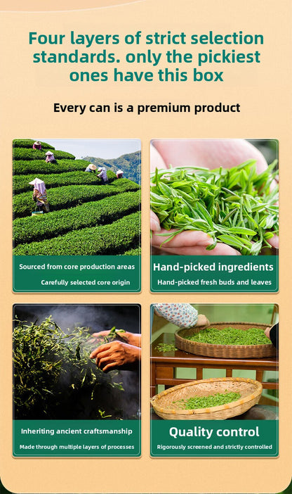 Biluochun Mingqian Green Tea 250g - Handmade Sprin